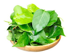 Freshly picked Sour-soup creeper leaves, also known as Annona muricata or Graviola, in a wooden bowl, isolated on white background.