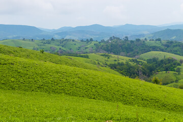 Obraz premium Hills Landscape Background