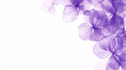 A purple flower with a white background