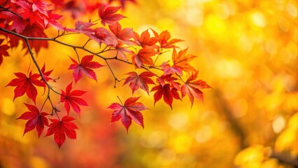 Fototapeta premium Vibrant fall foliage with bright red leaves on delicate branches against a blurred golden yellow background, fall, foliage