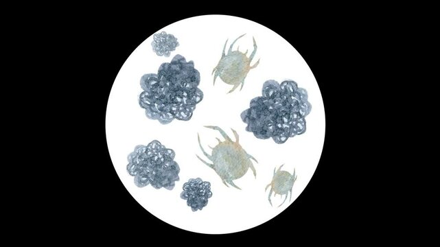 アレルギー ダニ ほこり イメージ　水彩 イラスト　ループ 動画