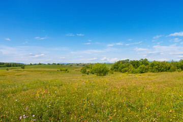 Meadow Landscape Background