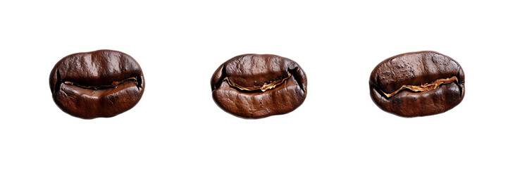 Three Roasted Coffee Beans on a White Background