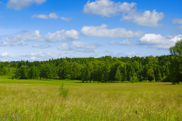 Obraz premium Meadow Landscape Background