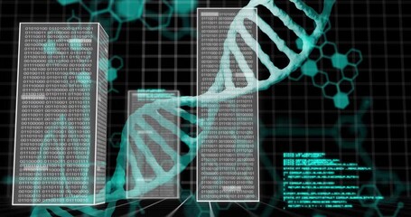DNA strands and binary coding, scientific data processing animation - Powered by Adobe
