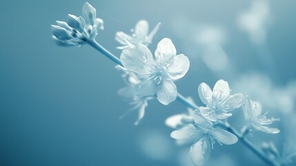 Cyanotype prints of daffodils flower, copy space, modern art, abstract artwork, abstract background, aesthetic wallpaper, abstract landscape 