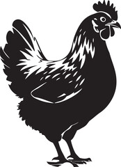 A Chicken silhouette illustration vector .