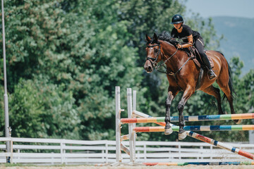 Focused equestrian rider jumping over colorful hurdle on horse in outdoor competition on a sunny...
