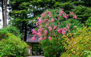 京都、岩船寺の山門
