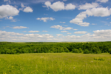 Obraz premium Meadow Landscape Background
