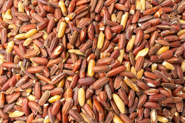 A Close up view of red rice grains, showcasing a rich reddish-brown hue interspersed with lighter-colored grains.