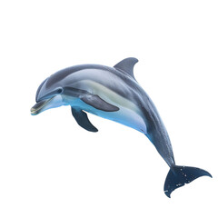 Fototapeta premium dolphin jumping out of water