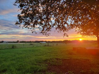 Sunrise in the countryside field