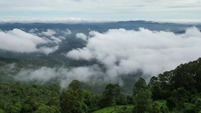 Tea Plantation 4K stock video
Tea state, Agriculture, Beauty In Nature, Crop - Plant, Environment, landscape with mountains and clouds, India, Munnar, ooty, Drone view