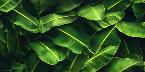 Fototapeta premium Close-up of green leaves