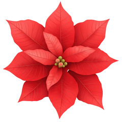 Watercolor poinsettia with multicolored leaves, isolated on white. Elegant holiday flower perfect for Christmas decorations, cards, or seasonal designs.

