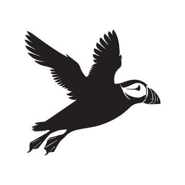 recommend clip art: Atlantic Puffin Vector Art - Fratercula arctica Silhouette - Atlantic Puffin Illustration in black and white