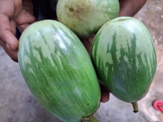 Brinjal, or eggplant, is a glossy, purple vegetable with a spongy texture and mild, slightly bitter flavor. It's versatile in cooking, absorbing flavors well, and is used in various dishes from currie