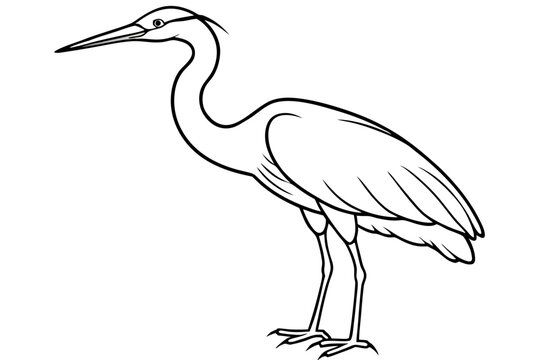 recommend clip art: heron line art, heron bird vector illustration, heron bird outline icon
                    
