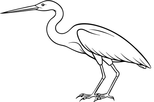 recommend clip art: heron line art, heron bird vector illustration, heron bird outline icon
                    
