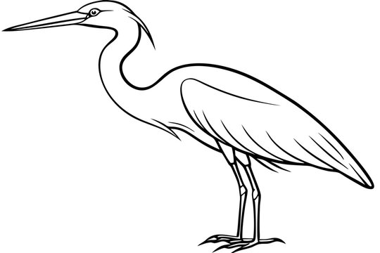 recommend clip art: heron line art, heron bird vector illustration, heron bird outline icon
                    