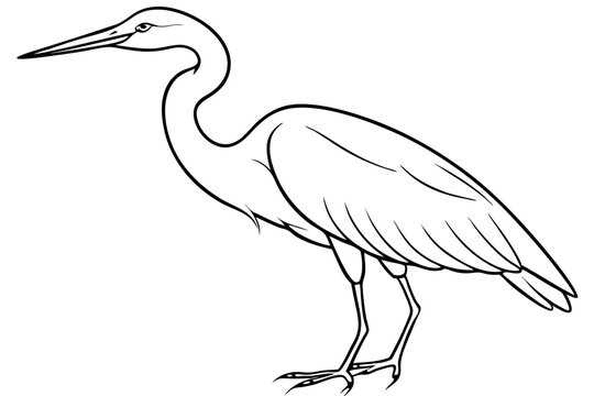 recommend clip art: heron line art, heron bird vector illustration, heron bird outline icon
                    