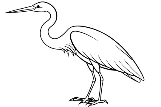 recommend clip art: heron line art, heron bird vector illustration, heron bird outline icon
                    