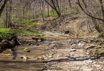shallow mountain river, staritsa and nature walks, spring day