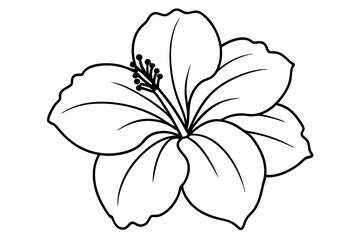 hibiscus line art, hibiscus flower line art vector illustration, hibiscus flower Svg  © Trendy CraftSVG 