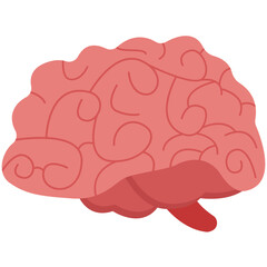 Brain. Vector Illustration