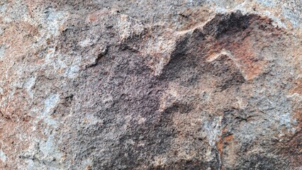 This close-up photo features a rough, textured rock surface with varying shades of gray and brown.