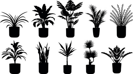 Potted plant silhouette vector illustration set