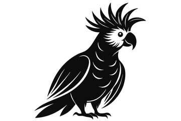 Cockatiel silhouette vector illustration