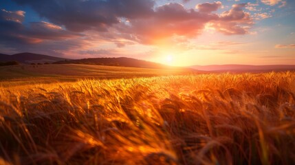 Obraz premium A field of golden wheat with a bright orange sun in the sky