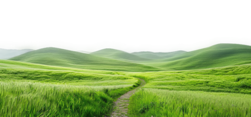 daytime green grass field landscape with pathway on transparent background