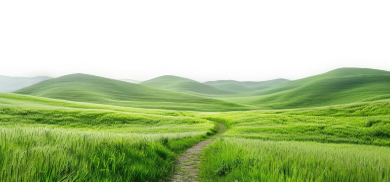 daytime green grass field landscape with pathway on transparent background - Powered by Adobe
