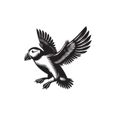 Obraz premium Horned puffin Bird Clipart - Horned puffin vector Illustration in black and white