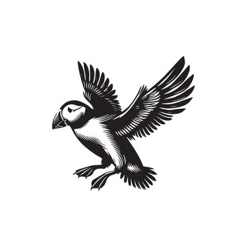 recommend clip art: Horned puffin  Bird Clipart - Horned puffin vector Illustration in black and white