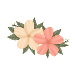 Flower Bouquet , Flower Agreement Illustration 