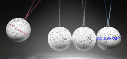 Environmental Conservation and Biodiversity - cause and effect relationship. A Newton cradle metaphor. ,3d illustration