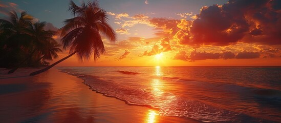Obraz premium Tropical Sunset Over a Pristine Beach