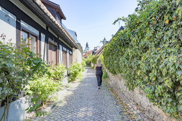 Modern cobblestone alley with greenery and a church.