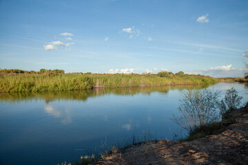 Wetlands of the lower Colorado river in Yuma, AZ