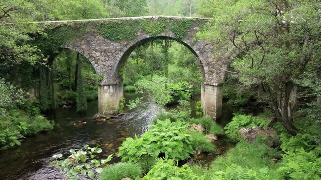 Bridge With Vegetation Over Sor River. dolly-in shot