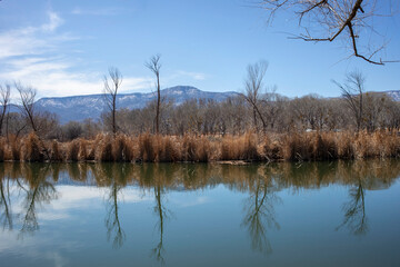 Winter landscape of Verde river Cottonwood, AZ