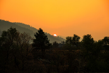 Orange sunset with smoky haze and tree silhouettes