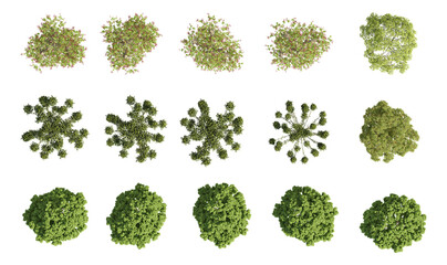 Obraz premium set of trees rendered from the top view, 3D illustration, for digital composition, illustration, 2D plans, architecture visualization