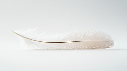 A delicate white feather resting on a light background, symbolizing lightness and purity.