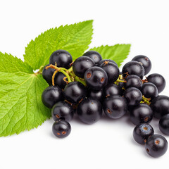 Fototapeta premium Black Currant, isolated on white background