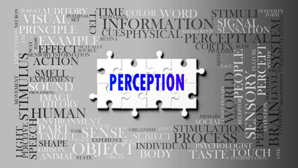 Perception as a complex subject, related to important topics. Pictured as a puzzle and a word cloud made of most important ideas and phrases related to perception. ,3d illustration